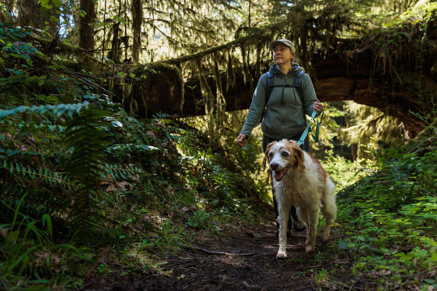 Ruffwear - Crag Collar - Grassy Oxbow