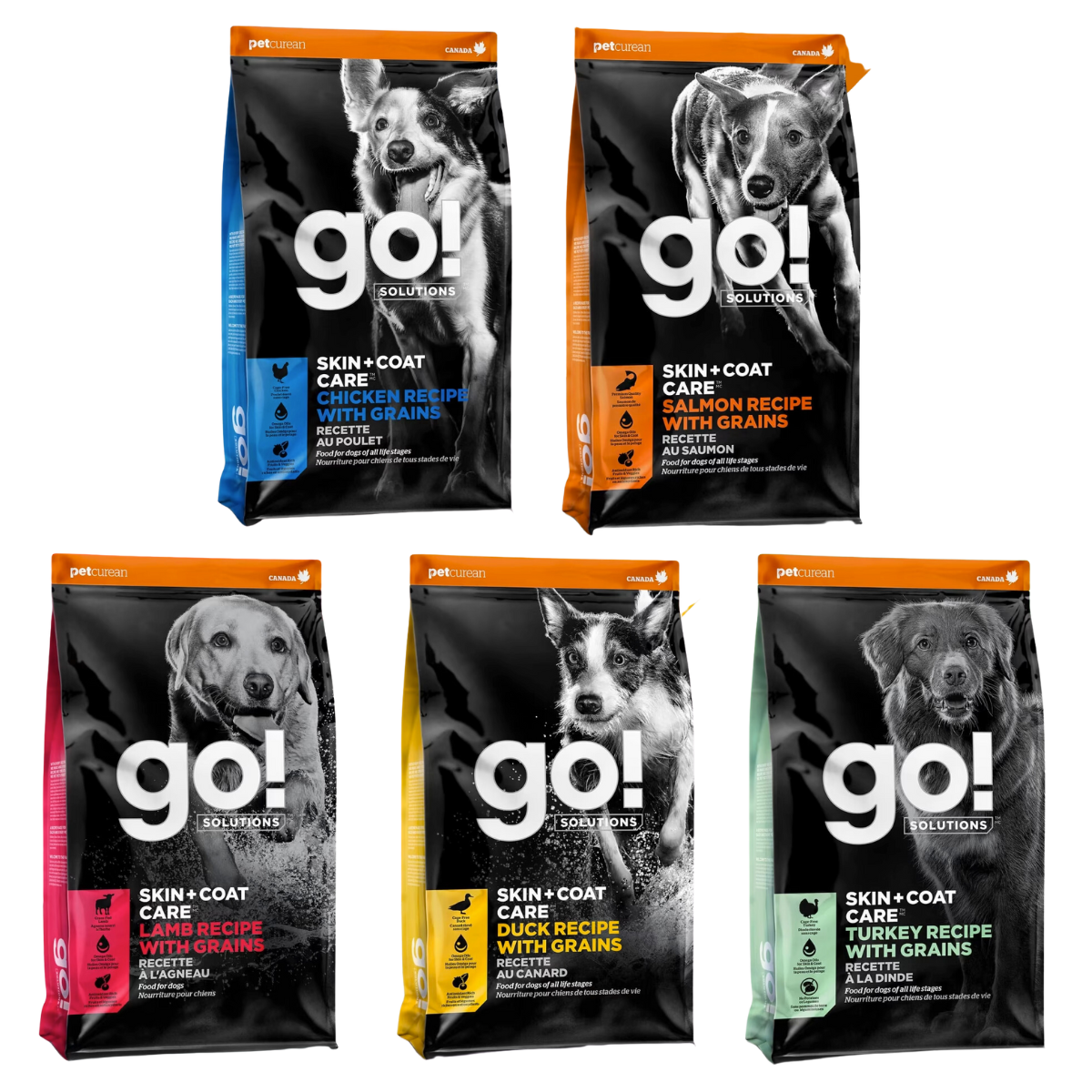 Go! - Skin & Coat Care - Dry Dog Food