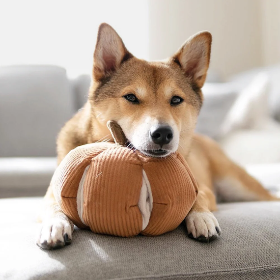 Lambwolf Collective - Cindarella Dog Toy