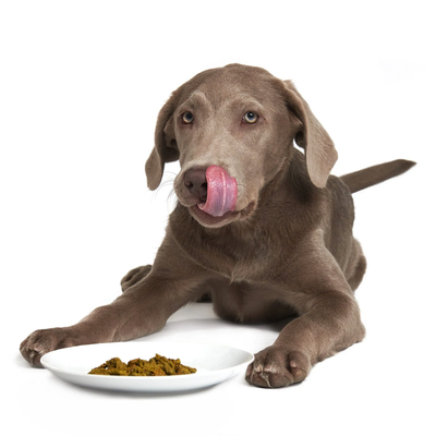 Smack - Dehydrated Raw Dog Food