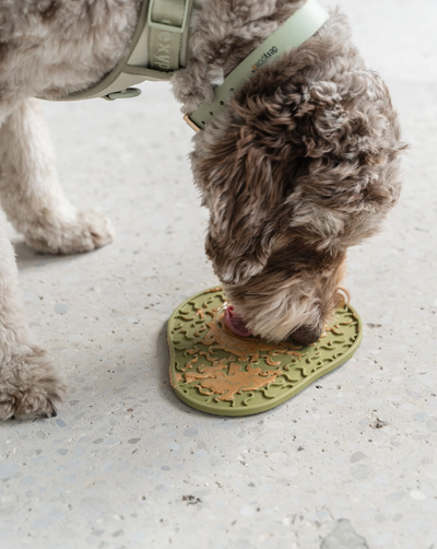 Dexypaws - Avocado Enrichment Lick Mat