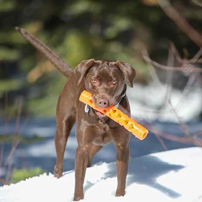 Chuckit! Breathe Right Fetch Sticks