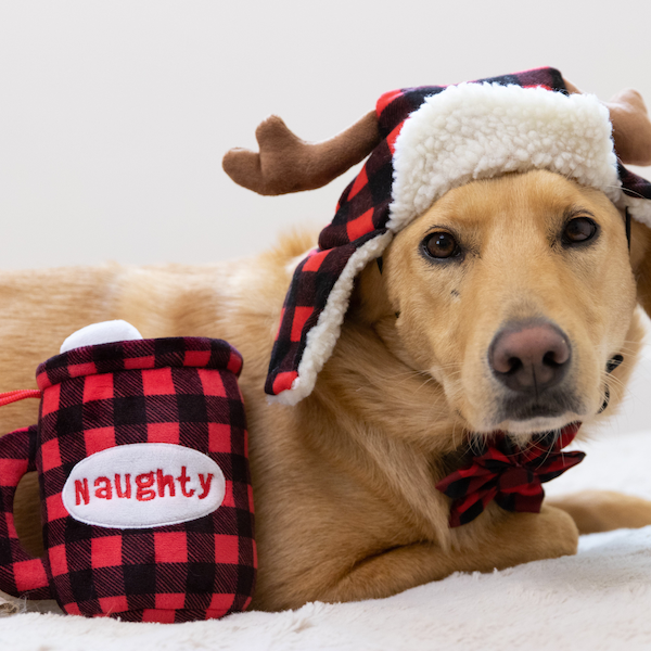 Huxley & Kent - Buffalo Check Hat