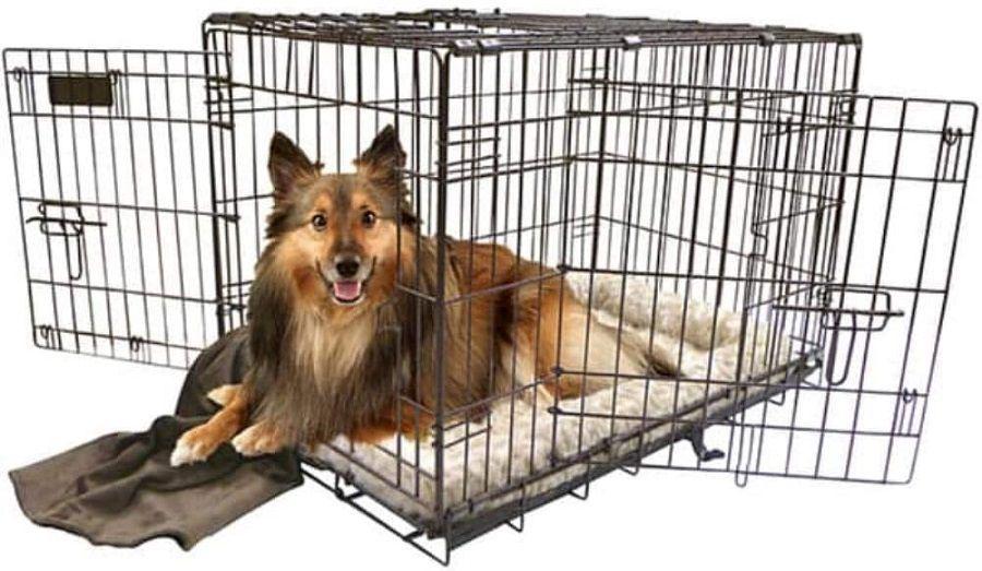 Precision Pet ProValu 2 Door Wire Crate