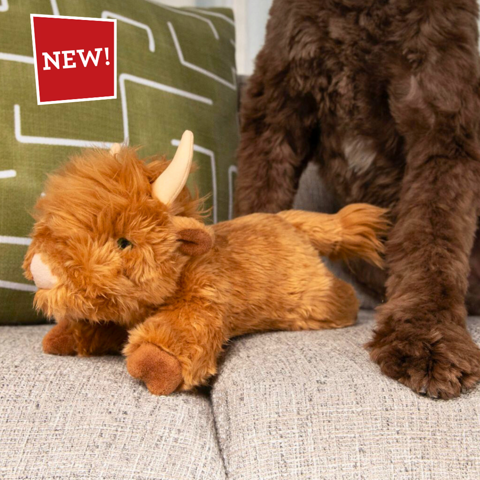 Fluff & Tuff - Shaggy The Highland Cow