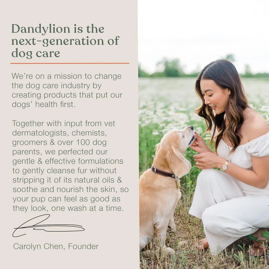 Dandylion - Clean Paws No-Rinse Foaming Cleanser