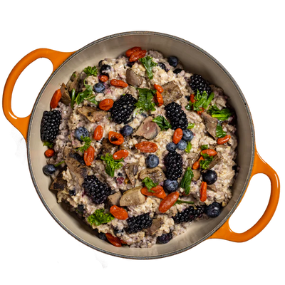 Tom & Sawyer - Frozen Gently Cooked Dog Food