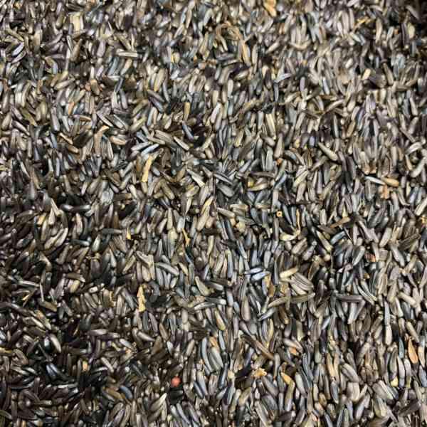 Bird's Choice - Nyjer Seed