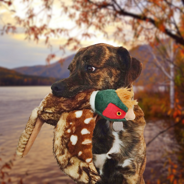 Fluff & Tuff - Ike Pheasant