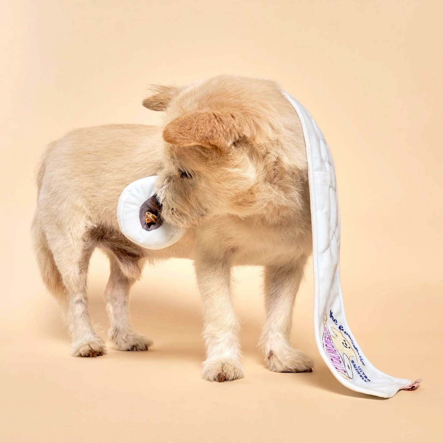 The Furryfolks - Toilet Paper Nosework Toy