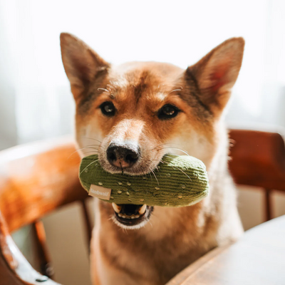Lambwolf Collective - Bagel & Pickle Dog Toy