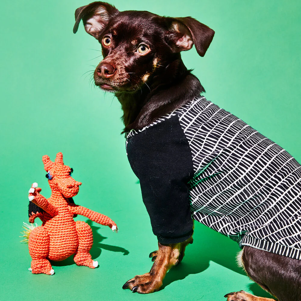 Ware Of The Dog - Hand Crochet Dragon Dog Toy