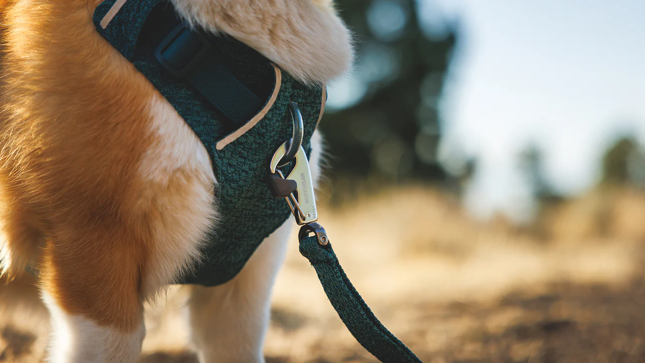 Ruffwear - Front Range Flex Leash