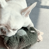 Lambwolf Collective - Pea Pop Dog Toy