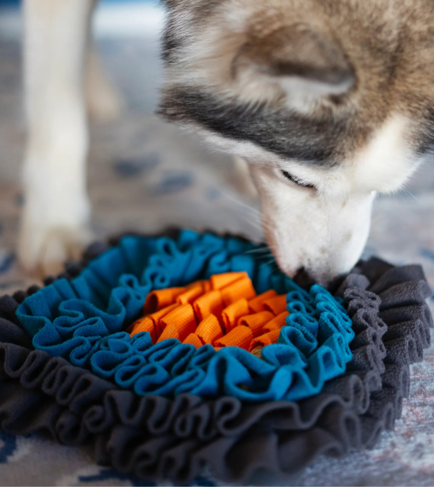 Messy Mutts - Square Forage/Snuffle Mat