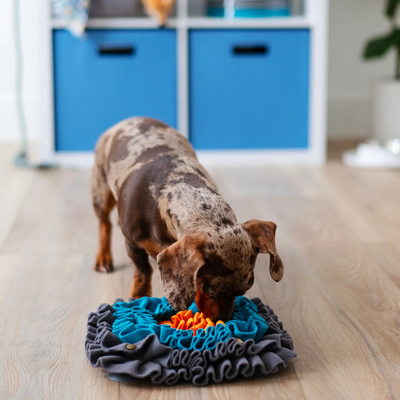 Messy Mutts - Square Forage/Snuffle Mat