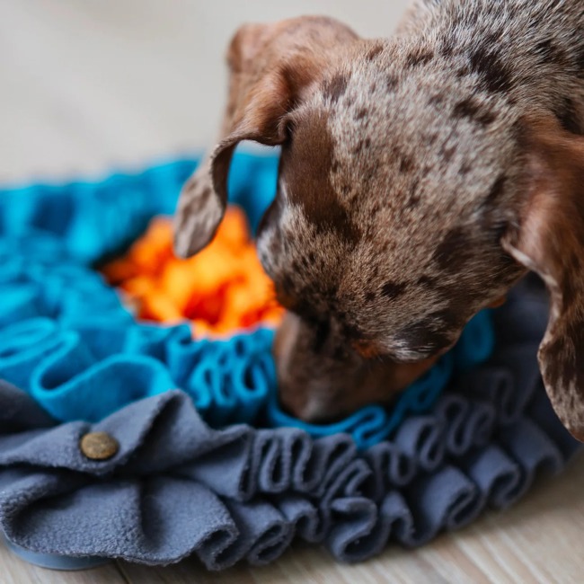 Messy Mutts - Square Forage/Snuffle Mat
