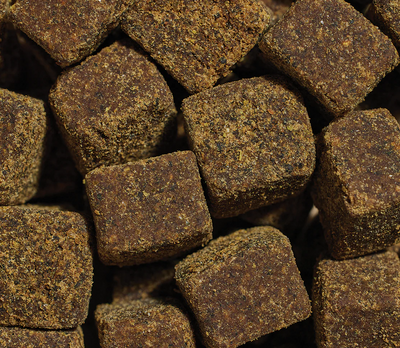Open Farm - Hip & Joint Supplement Chews for Dogs