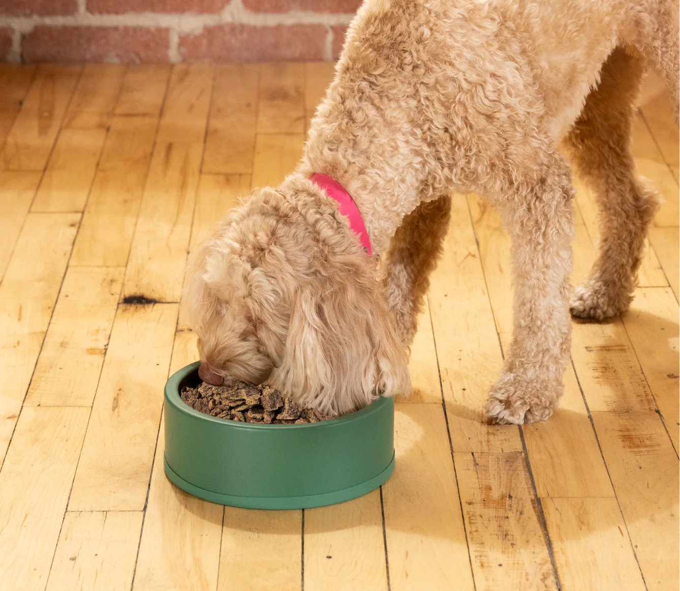 Open Farm - Air-Dried Dog Food