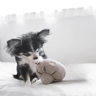 Lambwolf Collective - Guu Snuffle Mushroom Dog Toy