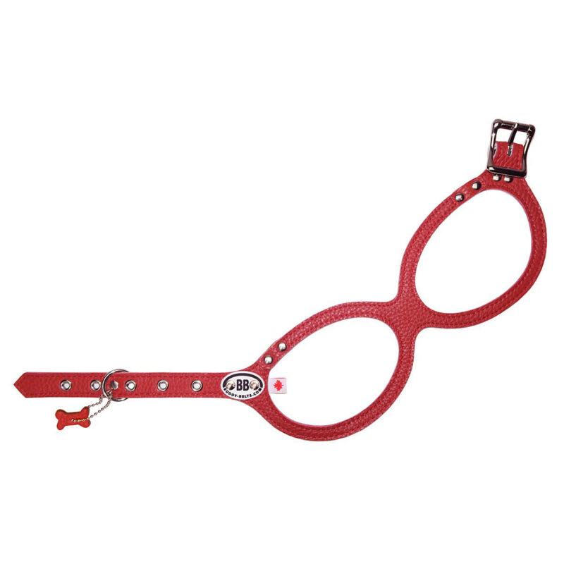 Buddy Belts - Dog Harness