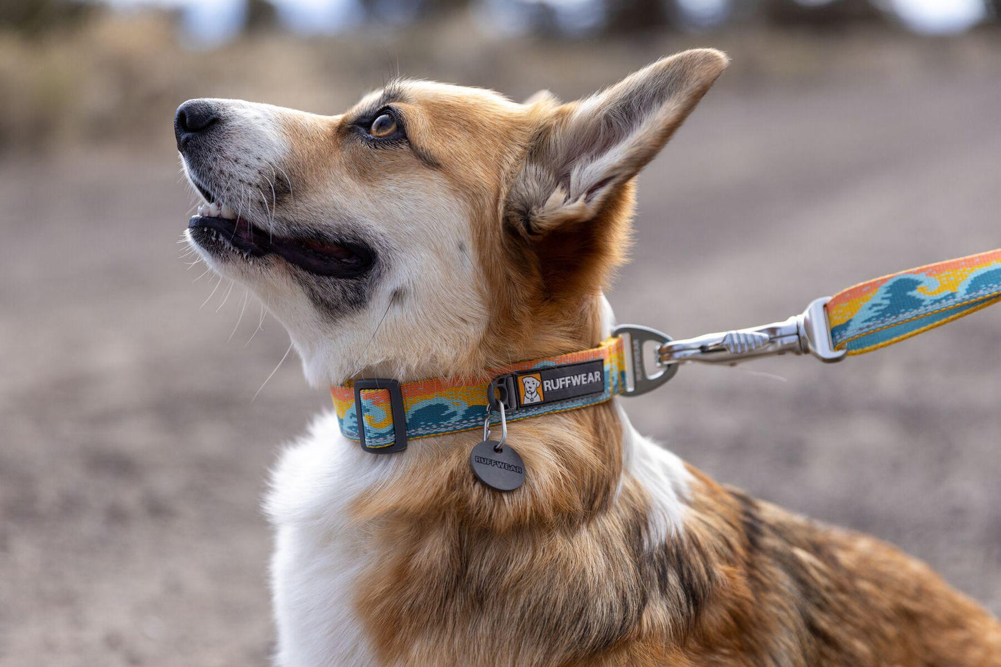Ruffwear - Crag Collar - Rising Wave
