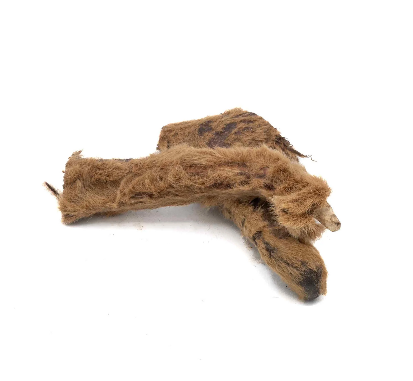 Maggie's Favourites - Solid Elk Antler with Velvet