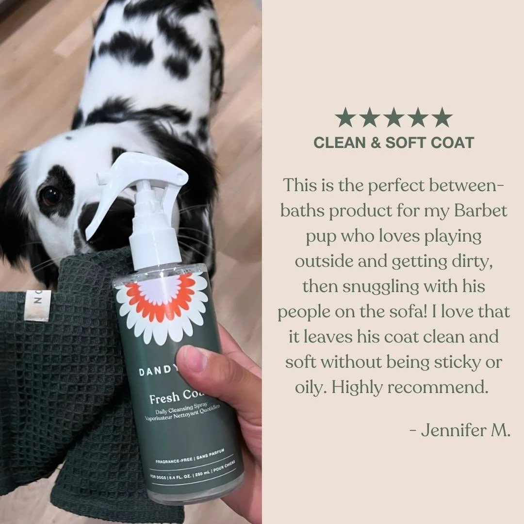 Dandylion - Fresh Coat Daily Cleansing Spray - Waterless No-Rinse Shampoo