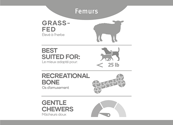Red Dog Blue Kat - Lamb Femurs