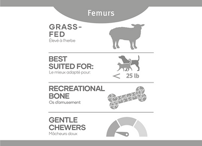 Red Dog Blue Kat - Lamb Femurs