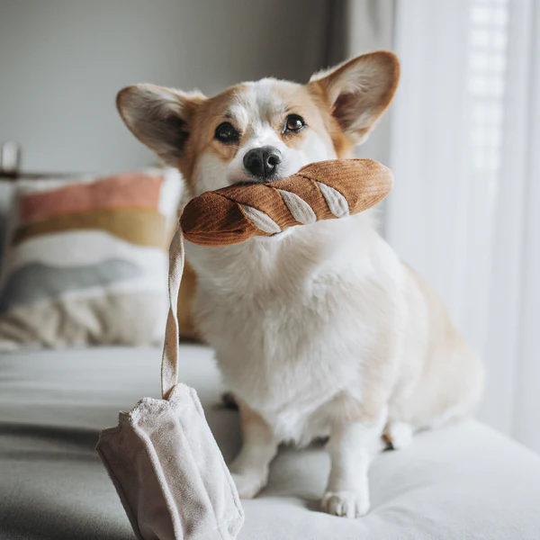 Lambwolf Collective - Baguette Dog Toy
