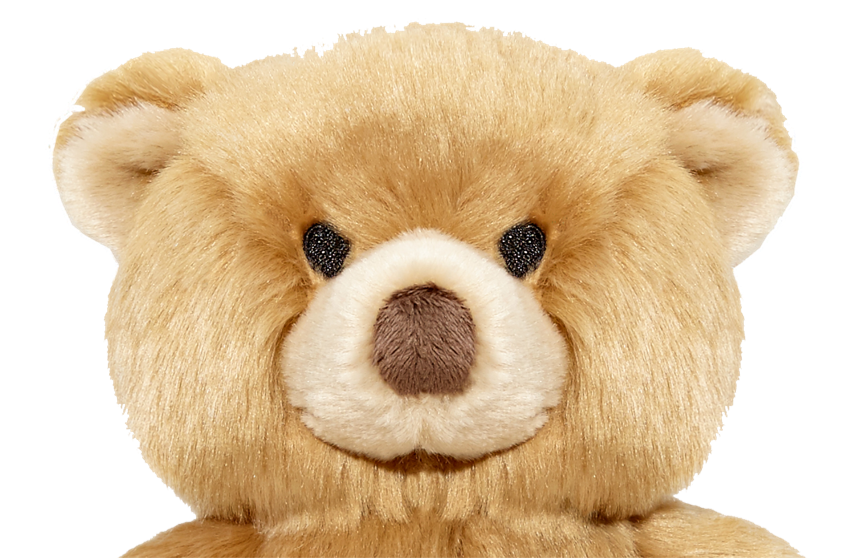 Fluff & Tuff - Mr. Honey Bear