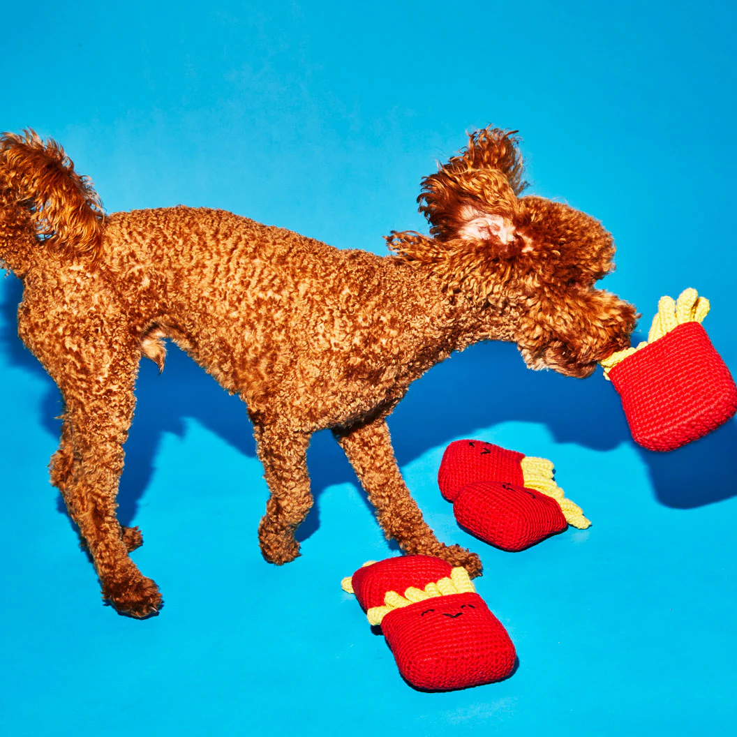 Ware Of The Dog - Hand Crochet French Fries Dog Toy
