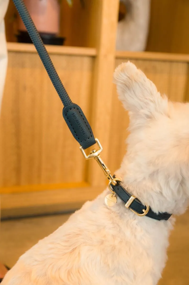 Fuzzyard Life - Atelier Dog Lead
