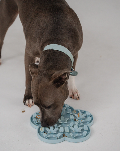 Dexypaws - Blue Flower Enrichment Snuffle Mat
