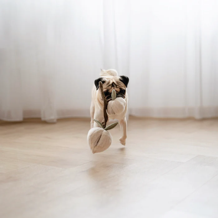 Lambwolf Collective - MOMO Peach Dog Toy