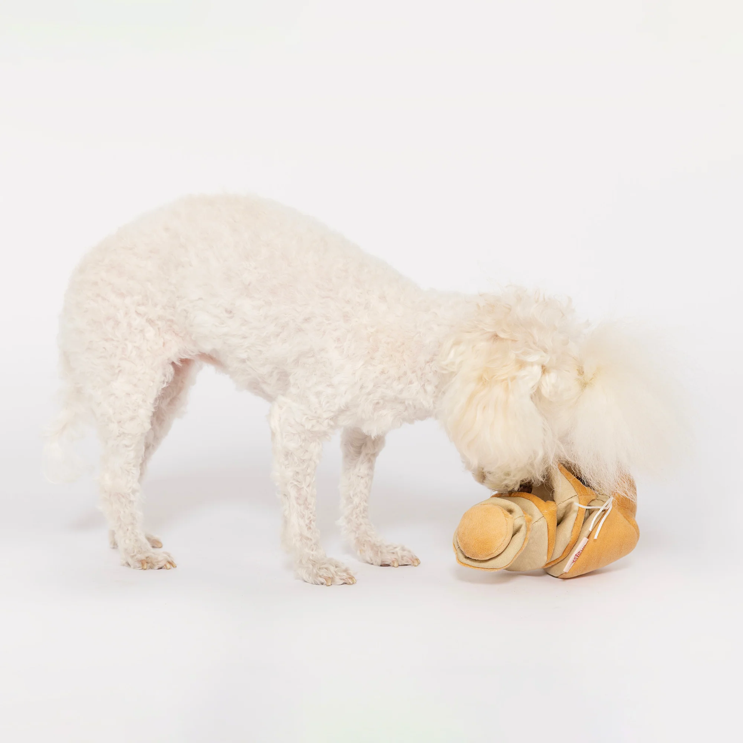 The Furryfolks - Yellow Onion Nosework Toy