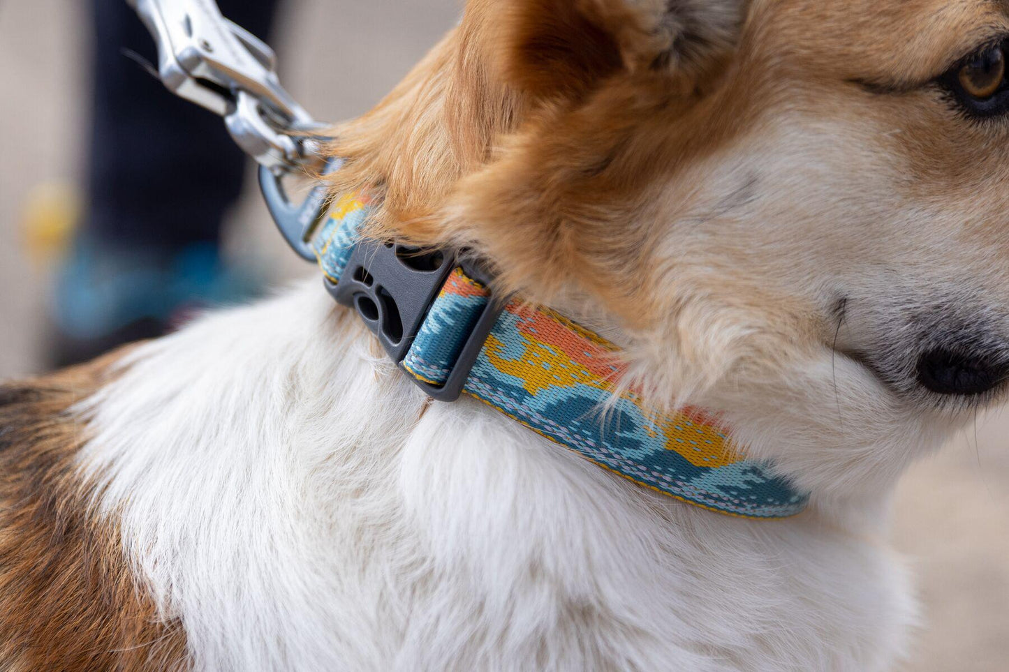 Ruffwear - Crag Collar - Rising Wave