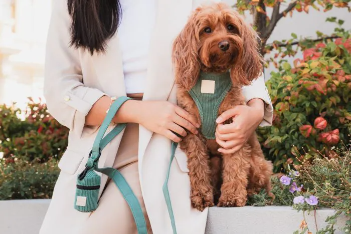 Fuzzyard Life - Poop Bag Dispenser