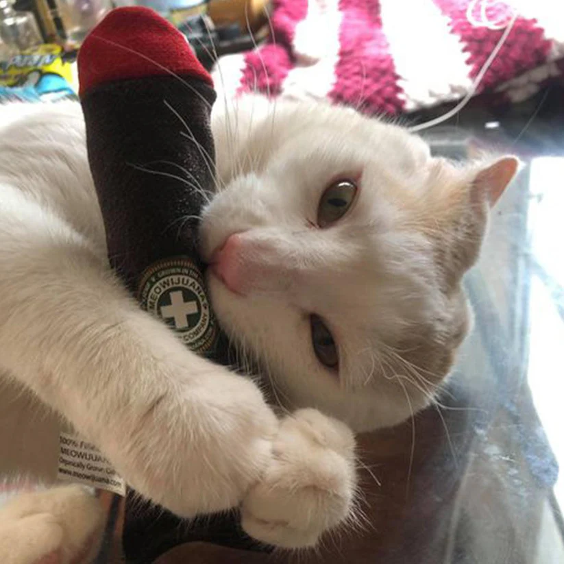 Meowijuana - Catnip Cigar