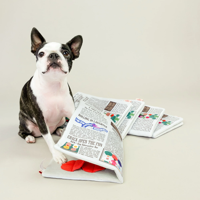 The Furryfolks - Newspaper Nosework Toy