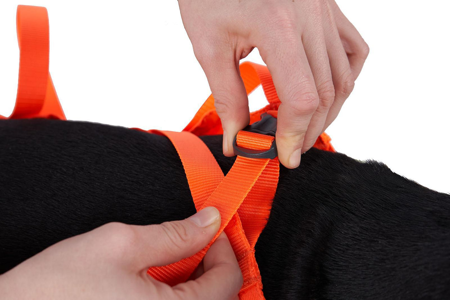 Non-stop Dogwear - Dog Rescue Sling