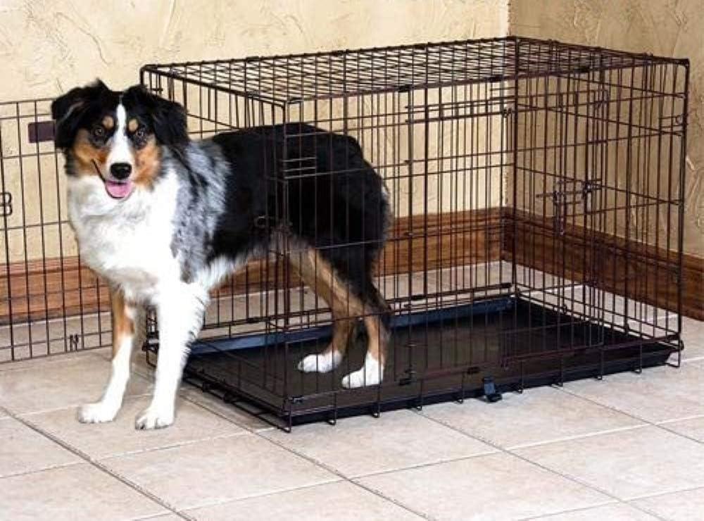 Precision Pet ProValu 2 Door Wire Crate