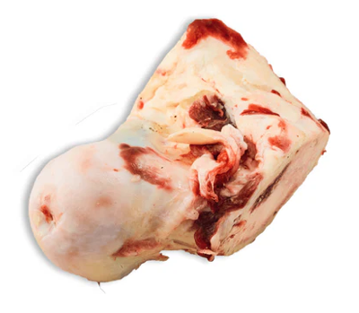 K9 Choice - Frozen Beef Knuckle Bones