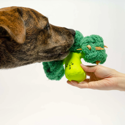 The Furryfolks - Broccoli Nosework Toy