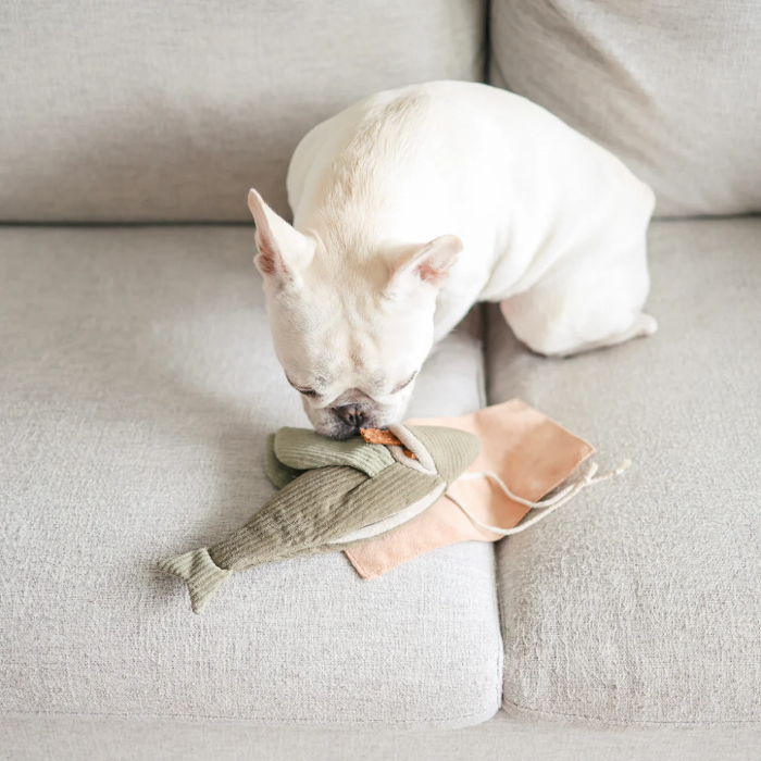 Lambwolf Collective - Flying Fish Dog Toy