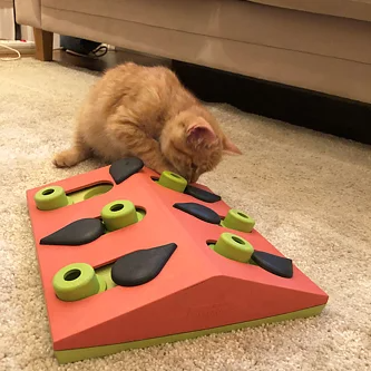 Nina Ottosson Cat - Melon Madness