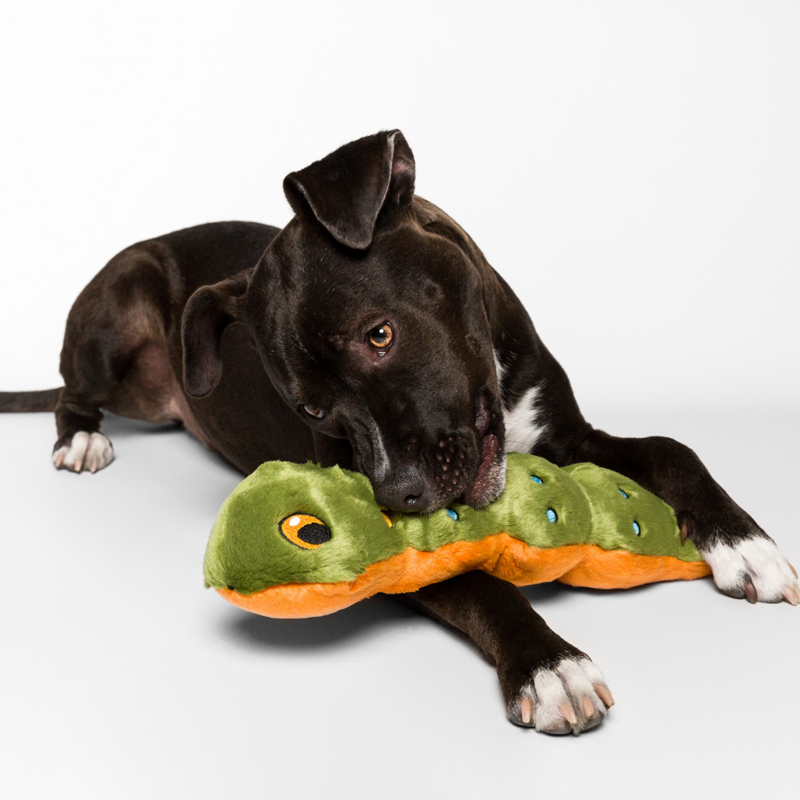 Fluff & Tuff - Katie Caterpillar