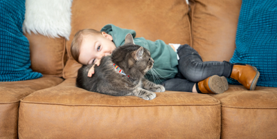 RC Pets - Kitty Breakaway Collar