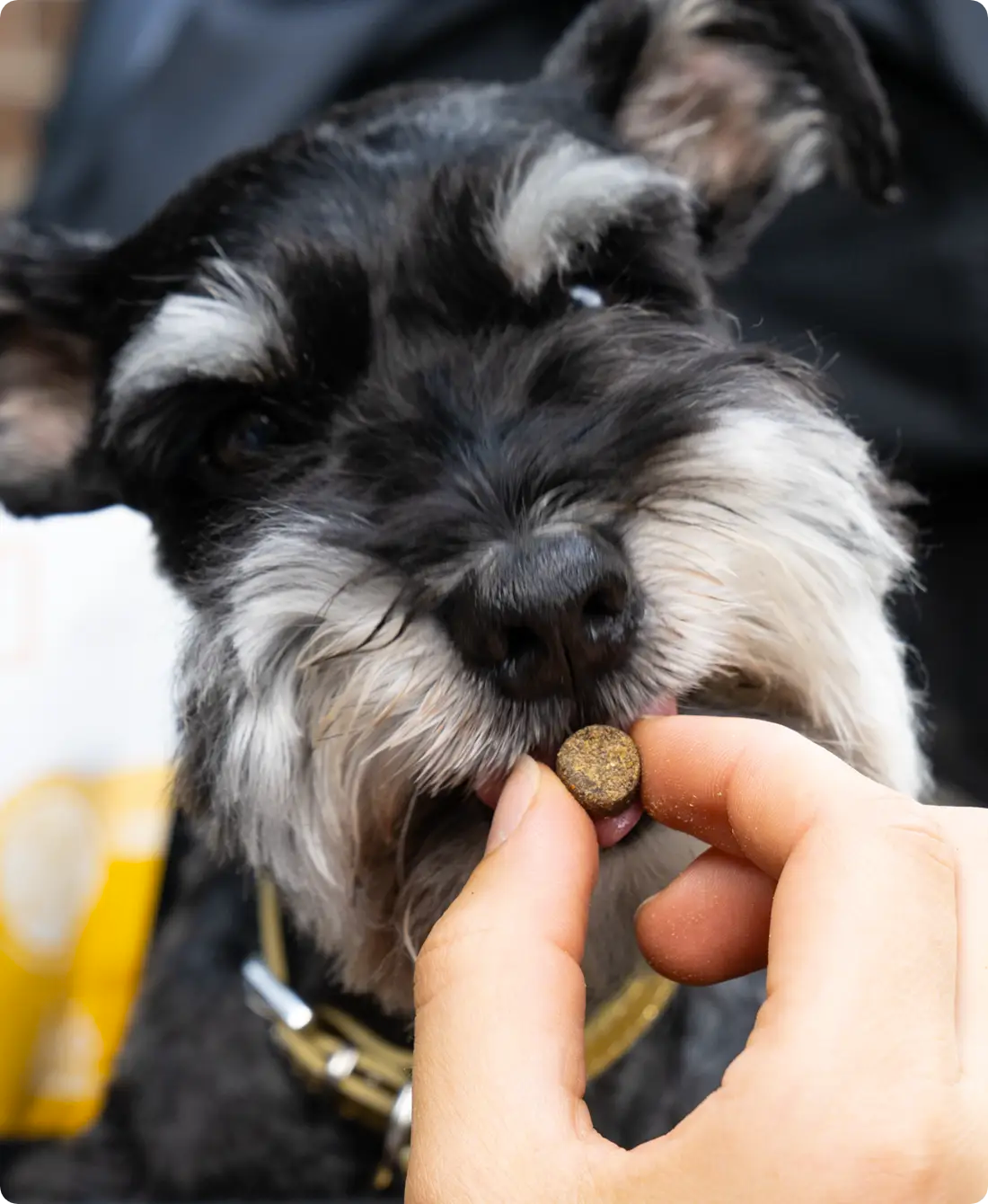 Open Farm - Be Good Bites - Dog Treats